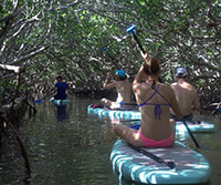 eco tour in the florida keys- paddleboard tour
