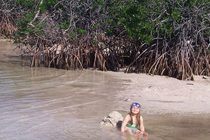 swim in the mangroves in the florida keys